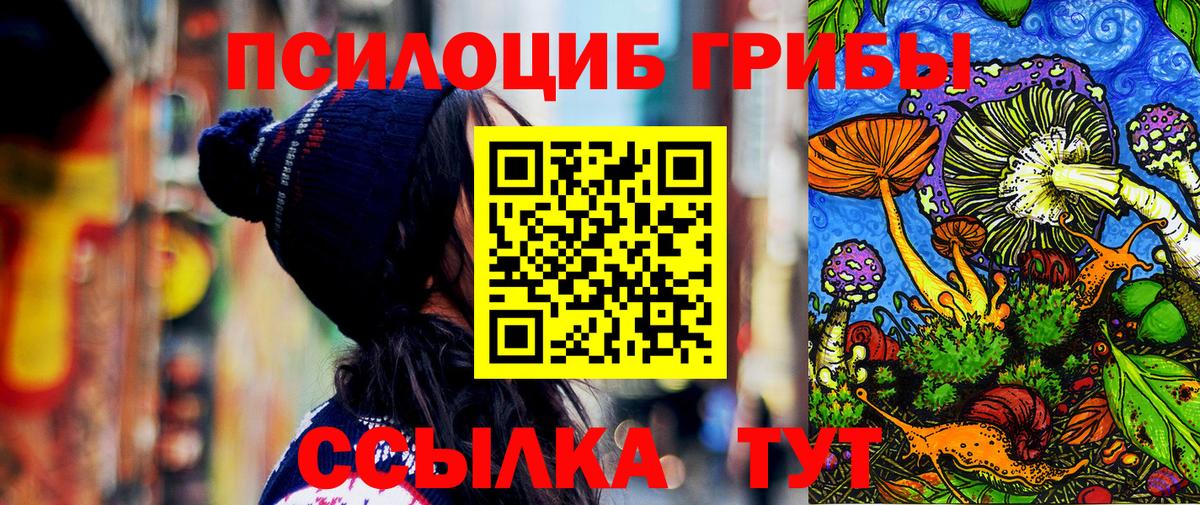 Галлюциногенные грибы прущие грибы  закладка  Советская Гавань  Вход с VPN 