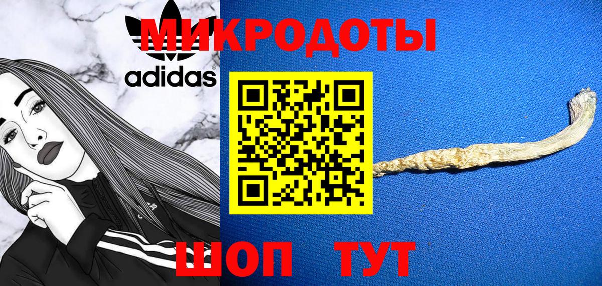 Псилоцибиновые грибы Psilocybine cubensis Советская Гавань